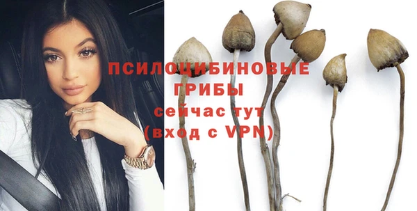 тгк Ладушкин