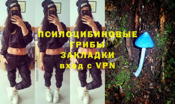 тгк Ладушкин