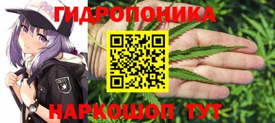 spice Азнакаево