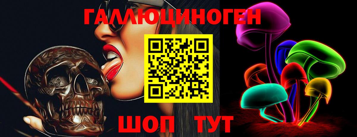 Галлюциногенные грибы мицелий  Галлюциногенные грибы Psilocybine cubensis  Усть-Кут  Вход с VPN 