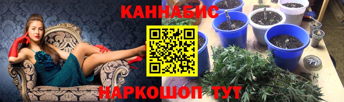 Канабис SATIVA & INDICA  Бошки Шишки индика  Усть-Кут  Вход с VPN  Шишки марихуана OG Kush 